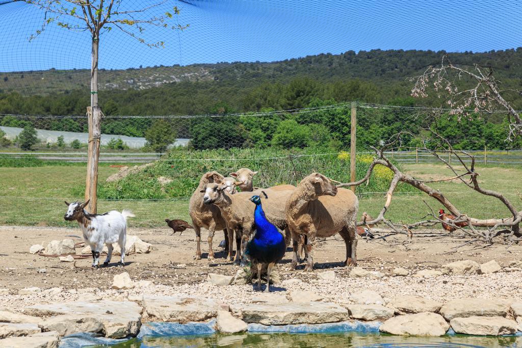 Lou Mas Li Pitchoun "Le Luberon " Gordes Exterior foto
